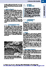 Thumbnail of page 3