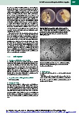 Thumbnail of page 3