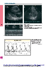 Thumbnail of page 2