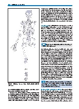 Thumbnail of page 3