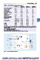 Thumbnail of page 3