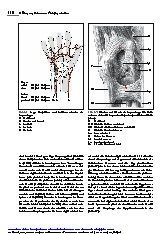 Thumbnail of page 2