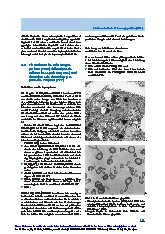 Thumbnail of page 1