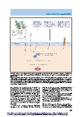 Thumbnail of page 3