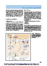 Thumbnail of page 2