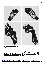 Thumbnail of page 3
