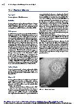 Thumbnail of page 1