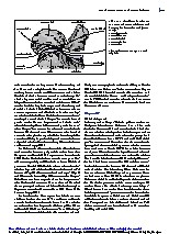 Thumbnail of page 3