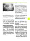 Thumbnail of page 3