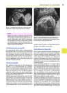 Thumbnail of page 2