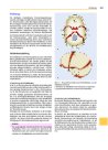 Thumbnail of page 2