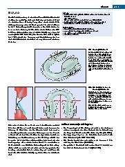 Thumbnail of page 2