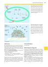 Thumbnail of page 2