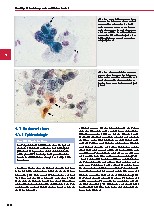 Thumbnail of page 1