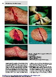 Thumbnail of page 3