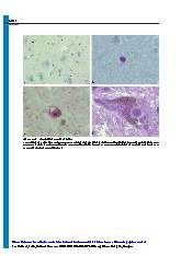 Thumbnail of page 3