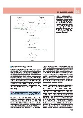 Thumbnail of page 2