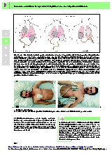 Thumbnail of page 2