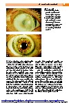 Thumbnail of page 3