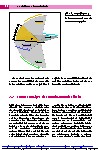 Thumbnail of page 1