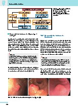 Thumbnail of page 3