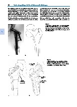 Thumbnail of page 3