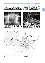Thumbnail of page 3