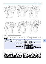 Thumbnail of page 2
