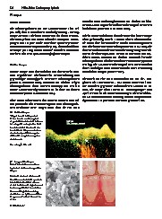 Thumbnail of page 2