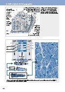 Thumbnail of page 2