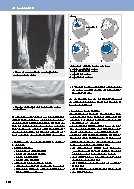 Thumbnail of page 2