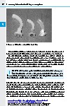 Thumbnail of page 2