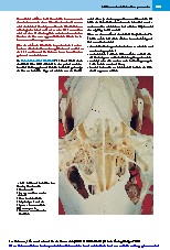 Thumbnail of page 3
