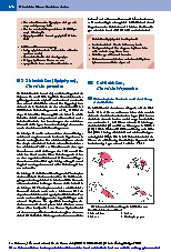Thumbnail of page 1