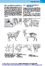 Thumbnail of page 1