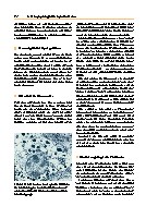 Thumbnail of page 2