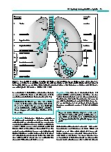 Thumbnail of page 3