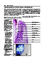 Thumbnail of page 2