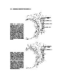 Thumbnail of page 2