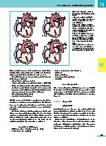 Thumbnail of page 2