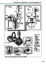 Thumbnail of page 2