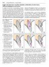 Thumbnail of page 1