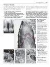 Thumbnail of page 3