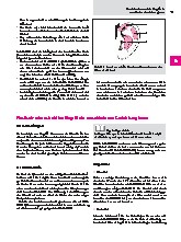 Thumbnail of page 1