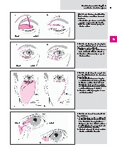 Thumbnail of page 3