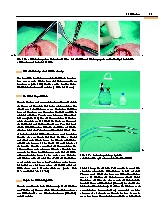 Thumbnail of page 3