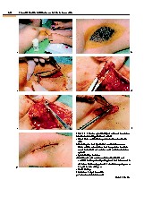 Thumbnail of page 2