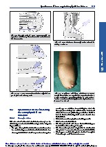 Thumbnail of page 3