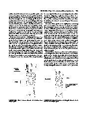 Thumbnail of page 2