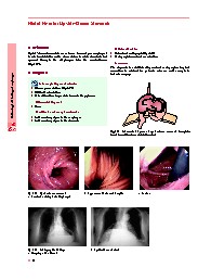 Thumbnail of page 1
